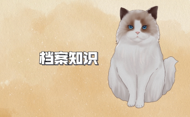 兴安盟个人档案查询方式是怎样的